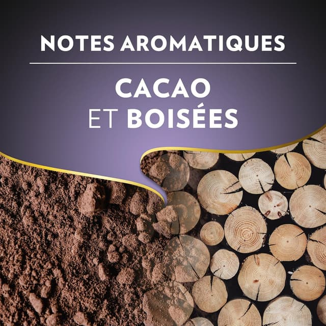 Detalle de Lavazza Espresso Barista Intenso 1 kg