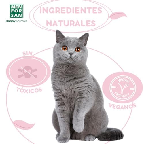 Thumbnail 4 de MENFORSAN Katzenhygiene-Paket mit Shampoo 300ml 🐱