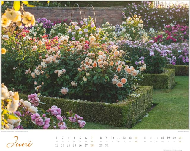 Thumbnail 6 de Im Rosengarten 2026 Gartenkalender 52 x 43 cm