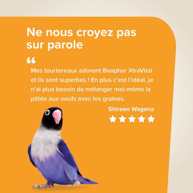 Thumbnail 5 de Beaphar XtraVital Sittiche 500 g 🐦