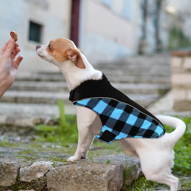 Detalle 2 de CITÉTOILE Warm & Windproof Dog Coat XL