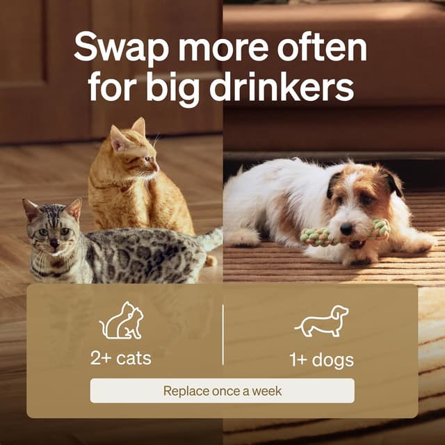 Detalle de PETLIBRO Replacement Filters for Dockstream Cat Water Fountain (4-Pack) for PLWF106/PLWF116/PLWF115/PLWF105/PLWF005