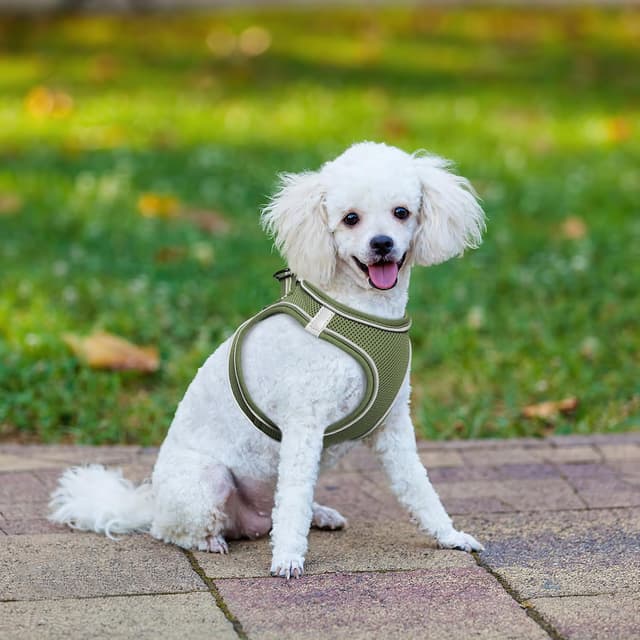 Detalle de HEELE step-in dog harness, XS chest 32-36cm