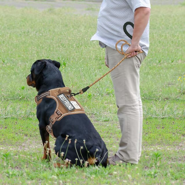 Detalle de Haapaw Heavy Duty taktisches Hundegeschirr für große Hunde – verstellbar mit Molle-System
