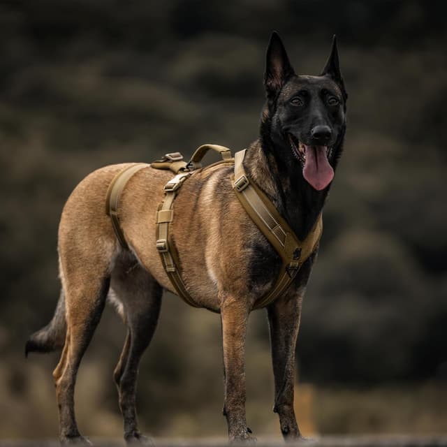 Thumbnail 6 de OneTigris HOUNDLOCK Hundegeschirr mit Ausbruchschutz, gepolstertem Brustbereich und reflektierenden Nähten (Braun, M)