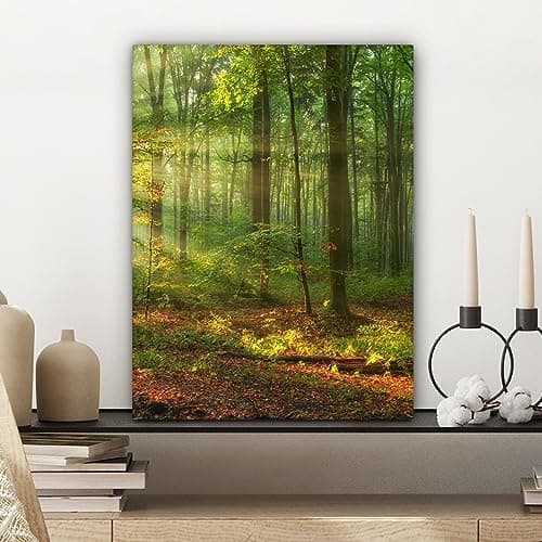 Thumbnail 4 de MuchoWow Impression toile 30x40 cm ForĂȘt đš