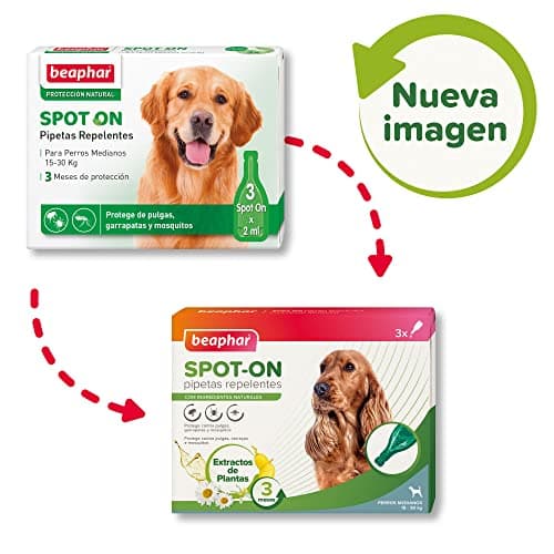 Detalle 2 de Beaphar Pipetas repelentes para perros medianos 2 ml