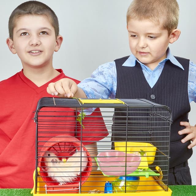 Detalle de POPETPOP ceramic pet bowl 3 inch