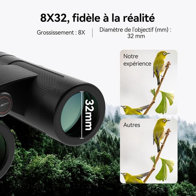 Detalle de Svbony SV202 Upgraded 8x32 ED : jumelles étanches FMC pour l’observation des oiseaux