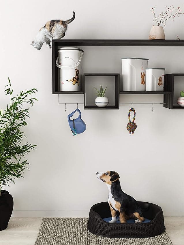 Detalle de Curver Contenedor de Alimentos para Mascotas 2 L