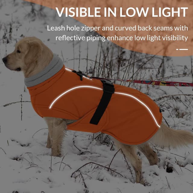 Thumbnail 6 de Queenmore Winter Dog Coat ⚡