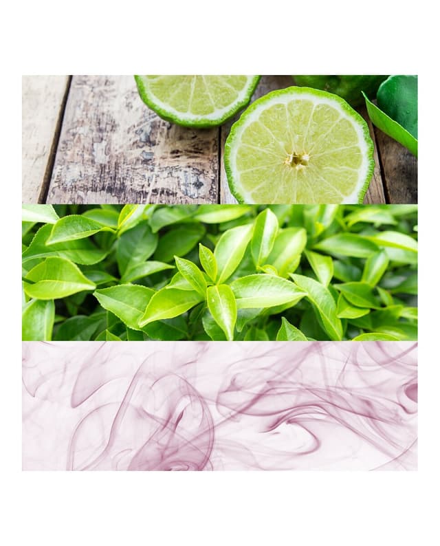 Thumbnail 2 de Calvin Klein cK one Perfume 300 ml