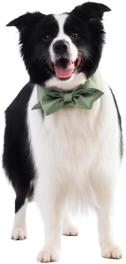 Imagen de Lovelyshop Pet Bow Tie Collar Large en OfertitasTOP