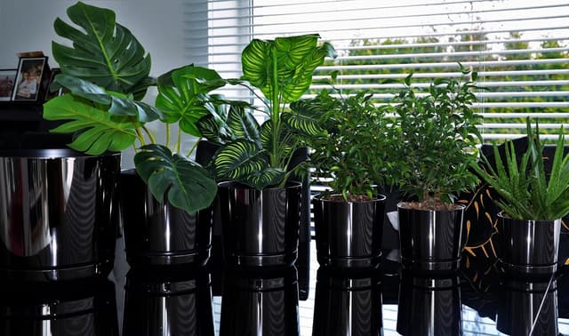 Thumbnail 1 de KERD Set Blumentöpfe 16 cm Glänzend Schwarz