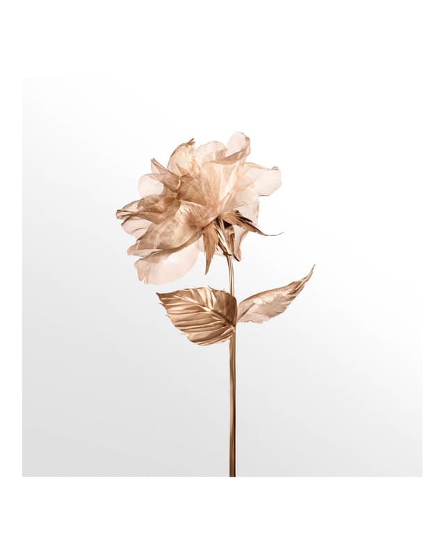 Thumbnail 5 de Tiffany & Co Rose Gold Eau de Parfum 50 ml