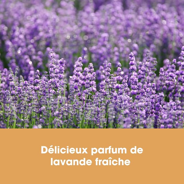 Thumbnail 6 de Nettoyant pour sols en vinyle dilué 5 L lavande