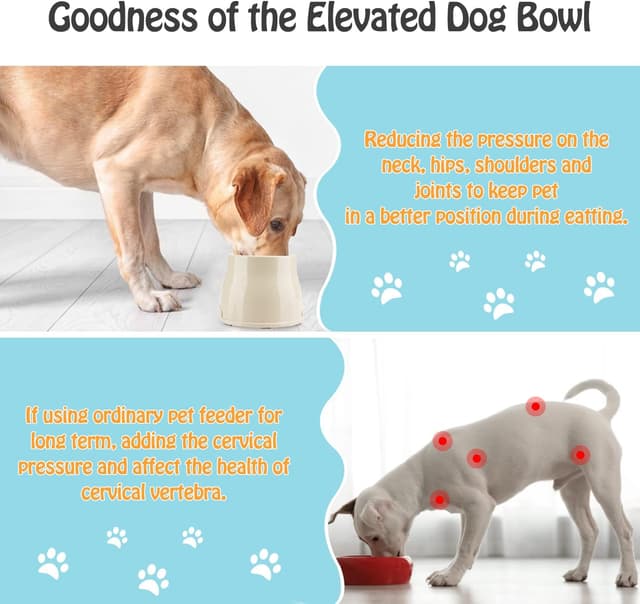 Detalle de TOWEAR Long Ears Dog Bowl (Spaniel) – Elevated, Non-slip Raised Feeder for Food & Water