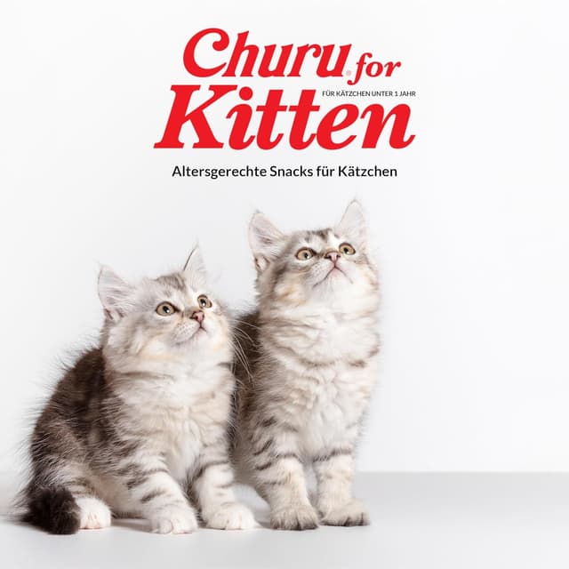 Detalle 2 de INABA Churu Creamy Snack für Kätzchen (Junior, 2–12 Monate) mit Omega 3 und Taurin, 20 x 14g