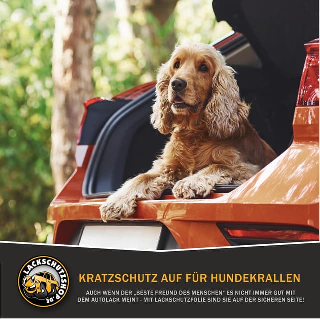 Thumbnail 6 de LACKSCHUTZSHOP Lackschutzfolie VW Passat B9 Variant 2024