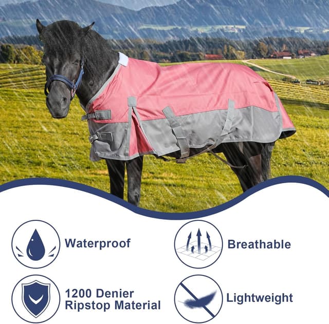 Thumbnail 2 de Mini Shetland Pony Turnout Rug 3'3