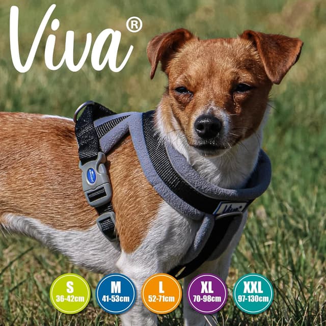 Detalle de Ancol Viva Padded Harness (Black, Size S 36–42cm) with reflective trim