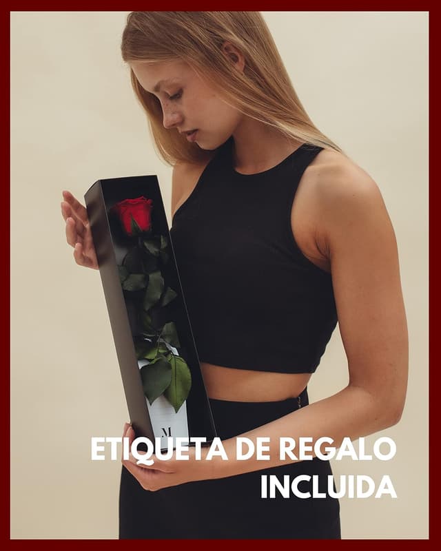 Thumbnail 4 de Mia Milano Rosa Preservada en Caja 🎁 Regalo San Valentín