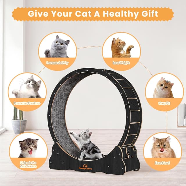 Detalle de homegroove Cat Exercise Wheel 43 Inch