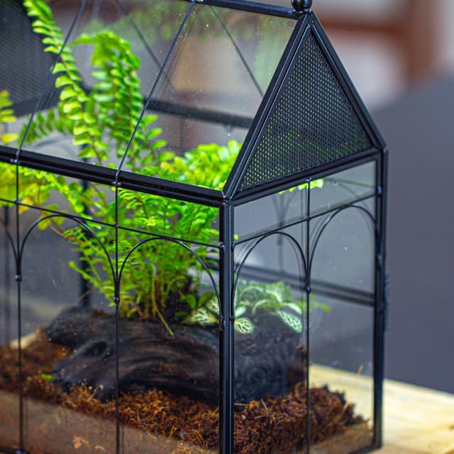 Thumbnail 4 de NCYP Glass House Terrarium 19×12.5×23 cm
