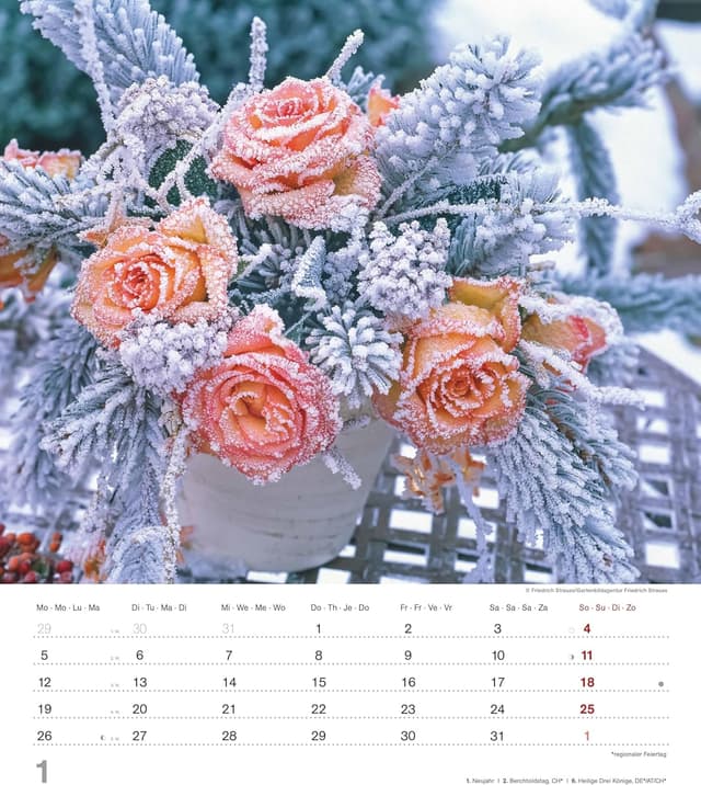 Detalle de Alpha Edition Rosen Kalender 2026 Bildkalender