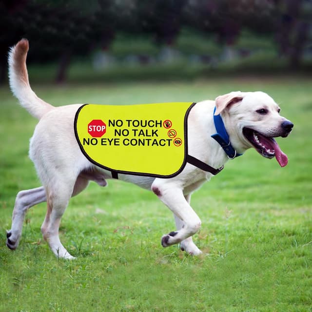 Thumbnail 4 de No Eye Contact Dog Jacket Vest Medium