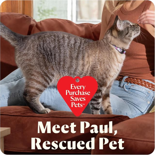 Thumbnail 6 de BISSELL Little Green Mini 4 in portable cleaner 🧽