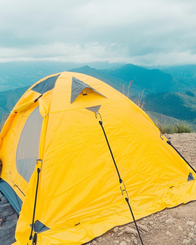 Detalle de BINCKIN Spanngummi mit Haken, 40 cm (15 Stück) – Gummispanner für Planen, Netze & Camping
