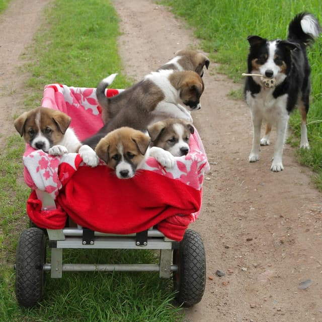 Thumbnail 4 de Relaxdays Juego de Dos Ruedas 3.00-4 para carretilla