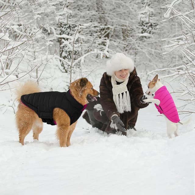 Thumbnail 6 de Lelepet Winterjacke für große Hunde (wendbar, wasserdicht) – Rosa, L