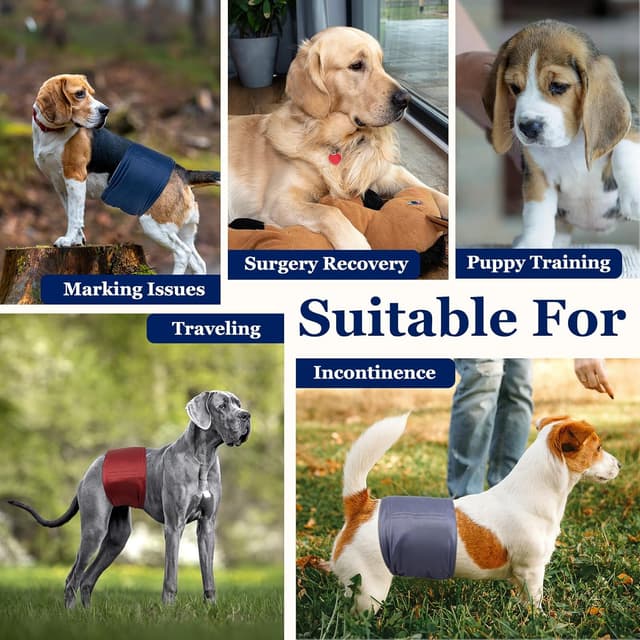 Detalle 2 de Dono Rüdenwindeln wiederverwendbar 3er Set