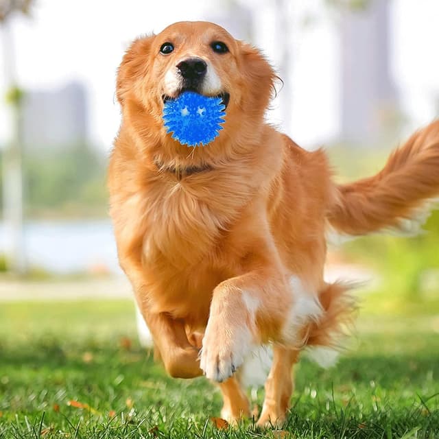 Detalle 2 de Speedy Panther squeaky dog ball toys 3 pack