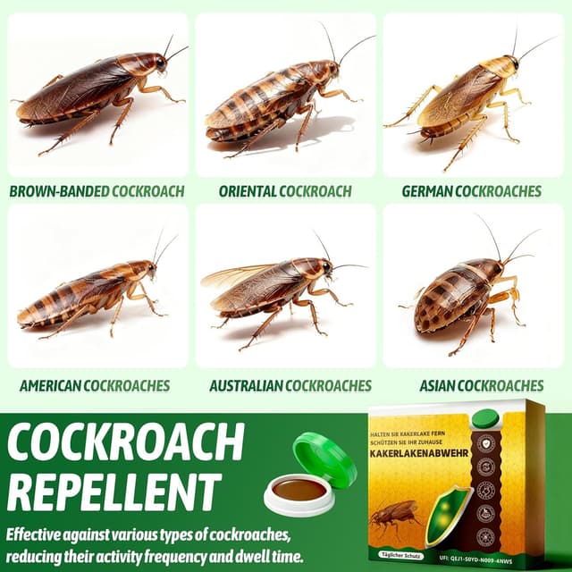 Detalle 1 de Trappole scarafaggi 48 pezzi