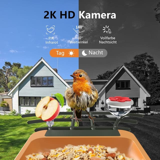 Detalle de Vogelfutterhaus mit Kamera 2K HD, Nachtsicht & KI-Erkennung (Solar, AJCloud App)