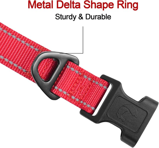 Thumbnail 2 de Joytale Reflective Dog Collar S, 11-15 in