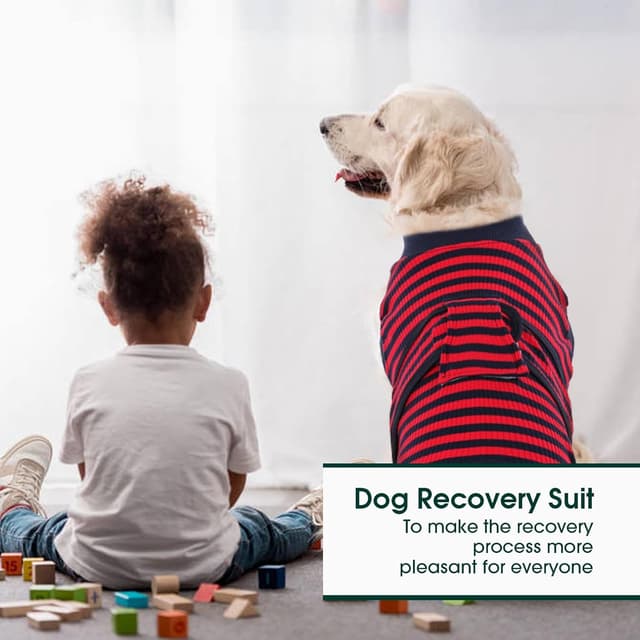 Detalle de Kuoser Dog Surgery Recovery Suit – Adjustable dog post-surgery body suit in red (cotton & spandex)