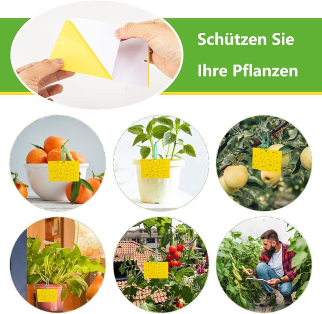 Detalle 2 de Gelbsticker für Trauermücken, 40 x 2er