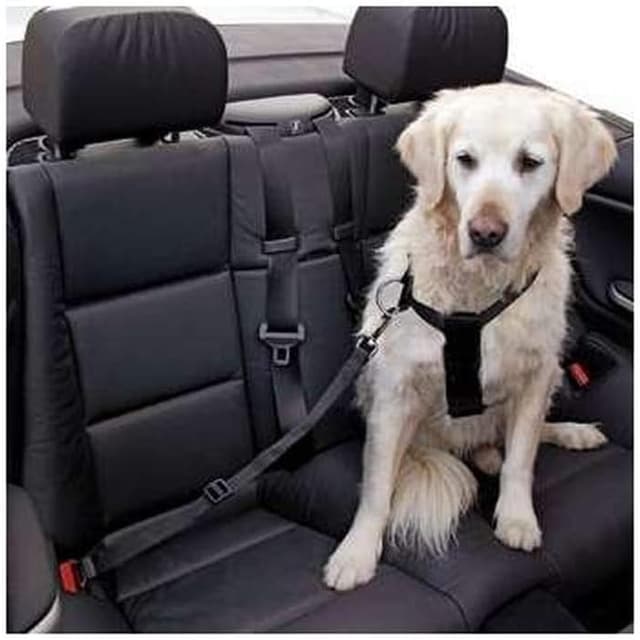 Detalle de Autosicherheitsgurt Größe S schwarz 1 Stück