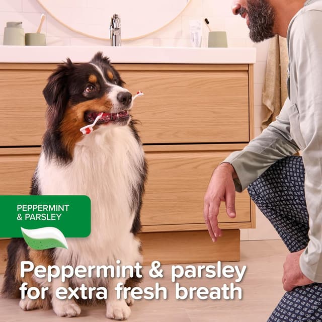 Thumbnail 4 de Beaphar Peppermint & Parsley Toothpaste 100g