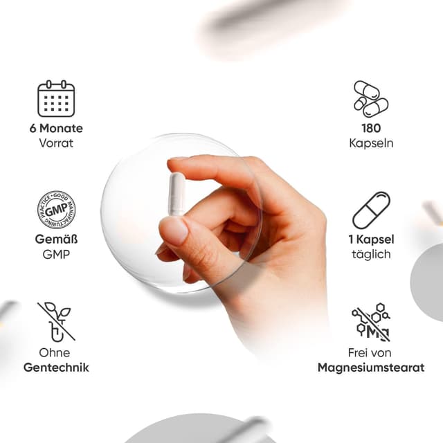 Detalle de WeightWorld Maca Kapseln – 5550 mg pro Kapsel (180 Kapseln) mit Schwarzer & Gelber Maca, Panax Ginseng, L-Arginin, Zink