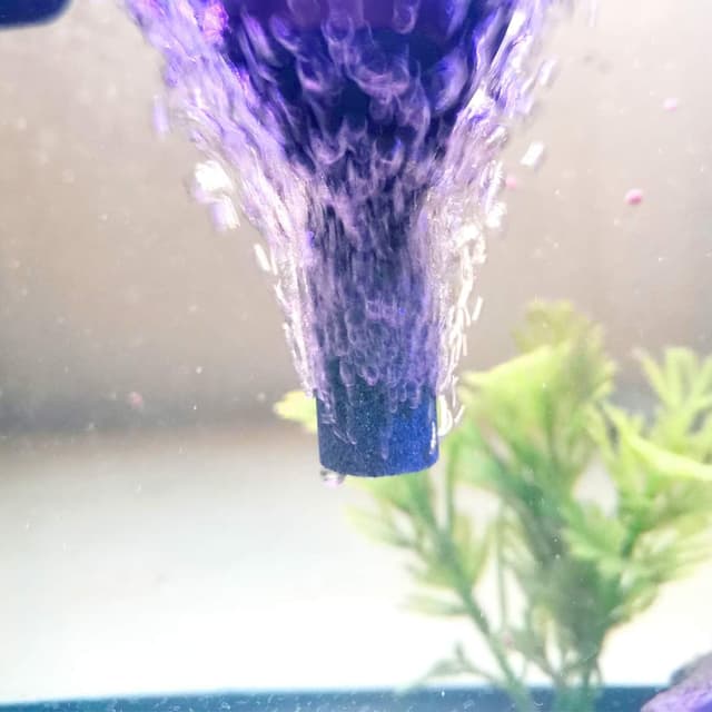 Thumbnail 4 de YMWALK Luftstein Aquarium 10 Stück