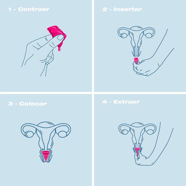 Thumbnail 4 de Intimina - Lily Cup Compact B: Copa Menstrual Plegable 🌸