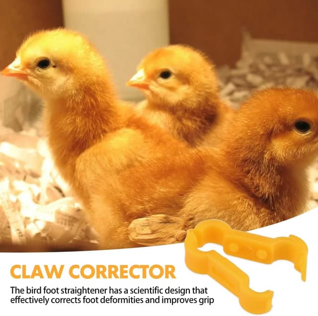 Thumbnail 2 de BNGXR Küken Beinspange 12 Stück