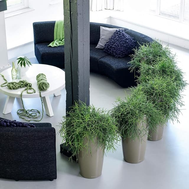 Thumbnail 2 de Lechuza Rondo Premium maceta 40 x 75 cm