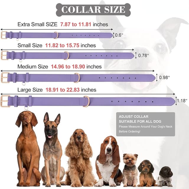 Thumbnail 5 de JASGOOD Leather Dog Collar XS