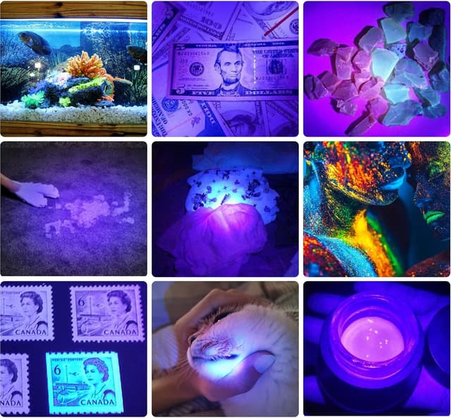 Detalle de DARKBEAM UV Light Torch 395nm 2 Pack